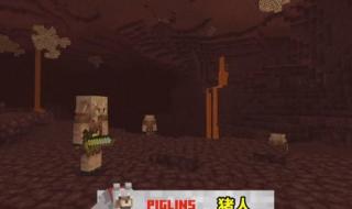 我的世界地狱疣 我的世界地狱疣