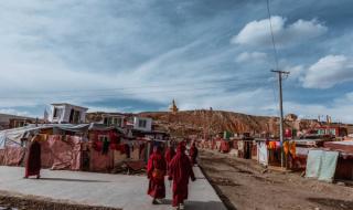 素火腿肠是什么做的