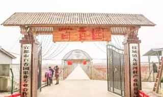 宜都市地图 宜都市地图