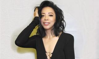 张惠妹上海演唱会