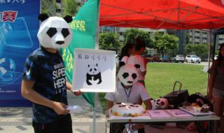 熊猫守护使 熊猫守护使