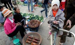 乡下老鼠伴奏 乡下老鼠伴奏