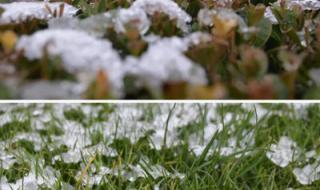 风雨送春归哪个台播放 风雨送春归哪个台播放