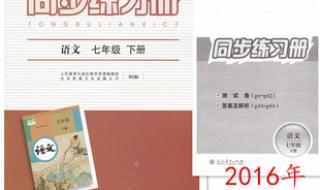七年级下册语文 七年级下册语文