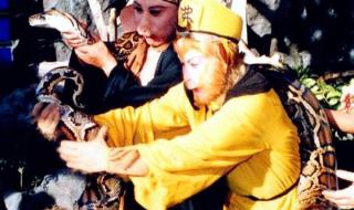 世界上的蟒蛇有多大