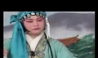 王天宝下苏州全集 王天宝下苏州全集