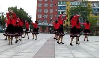 广场舞草原上的月光