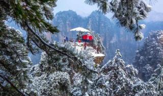 几月去张家界旅游合适 几月去张家界旅游合适