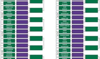 全英羽毛球公开赛2023 全英羽毛球公开赛2023