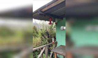 哥斯达黎加到底咋样 哥斯达黎加到底咋样